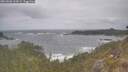 ./images/calvert/foggy-cove/20260506/foggy-cove20260506_125001M.jpg