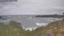 ./images/calvert/foggy-cove/20260506/foggy-cove20260506_125501M.jpg