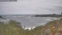 ./images/calvert/foggy-cove/20260506/foggy-cove20260506_130001M.jpg