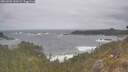 ./images/calvert/foggy-cove/20260506/foggy-cove20260506_130501M.jpg