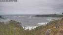 ./images/calvert/foggy-cove/20260506/foggy-cove20260506_131001M.jpg