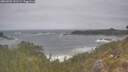 ./images/calvert/foggy-cove/20260506/foggy-cove20260506_131501M.jpg