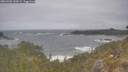 ./images/calvert/foggy-cove/20260506/foggy-cove20260506_132001M.jpg