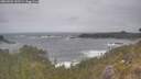 ./images/calvert/foggy-cove/20260506/foggy-cove20260506_132501M.jpg