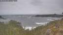 ./images/calvert/foggy-cove/20260506/foggy-cove20260506_133001M.jpg