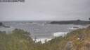 ./images/calvert/foggy-cove/20260506/foggy-cove20260506_133501M.jpg