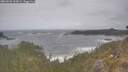 ./images/calvert/foggy-cove/20260506/foggy-cove20260506_134001M.jpg