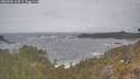 ./images/calvert/foggy-cove/20260506/foggy-cove20260506_134501M.jpg