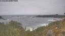 ./images/calvert/foggy-cove/20260506/foggy-cove20260506_135001M.jpg