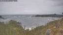 ./images/calvert/foggy-cove/20260506/foggy-cove20260506_135502M.jpg
