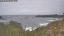 ./images/calvert/foggy-cove/20260506/foggy-cove20260506_140501M.jpg