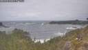 ./images/calvert/foggy-cove/20260506/foggy-cove20260506_141002M.jpg