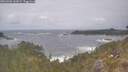 ./images/calvert/foggy-cove/20260506/foggy-cove20260506_142001M.jpg