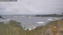 ./images/calvert/foggy-cove/20260506/foggy-cove20260506_143001M.jpg