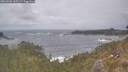 ./images/calvert/foggy-cove/20260506/foggy-cove20260506_143501M.jpg