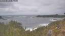 ./images/calvert/foggy-cove/20260506/foggy-cove20260506_144001M.jpg