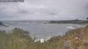 ./images/calvert/foggy-cove/20260506/foggy-cove20260506_144502M.jpg