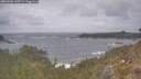 ./images/calvert/foggy-cove/20260506/foggy-cove20260506_145501M.jpg