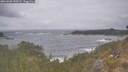 ./images/calvert/foggy-cove/20260506/foggy-cove20260506_150501M.jpg
