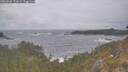 ./images/calvert/foggy-cove/20260506/foggy-cove20260506_151001M.jpg