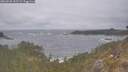 ./images/calvert/foggy-cove/20260506/foggy-cove20260506_151501M.jpg