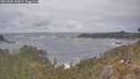 ./images/calvert/foggy-cove/20260506/foggy-cove20260506_152001M.jpg