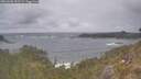 ./images/calvert/foggy-cove/20260506/foggy-cove20260506_152501M.jpg