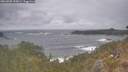 ./images/calvert/foggy-cove/20260506/foggy-cove20260506_153001M.jpg