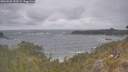./images/calvert/foggy-cove/20260506/foggy-cove20260506_153501M.jpg