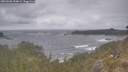 ./images/calvert/foggy-cove/20260506/foggy-cove20260506_154001M.jpg
