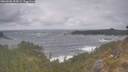 ./images/calvert/foggy-cove/20260506/foggy-cove20260506_154501M.jpg