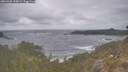 ./images/calvert/foggy-cove/20260506/foggy-cove20260506_155001M.jpg