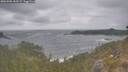 ./images/calvert/foggy-cove/20260506/foggy-cove20260506_155501M.jpg
