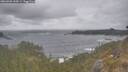 ./images/calvert/foggy-cove/20260506/foggy-cove20260506_160001M.jpg