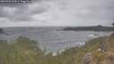 ./images/calvert/foggy-cove/20260506/foggy-cove20260506_160501M.jpg