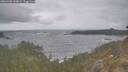 ./images/calvert/foggy-cove/20260506/foggy-cove20260506_161001M.jpg