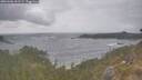 ./images/calvert/foggy-cove/20260506/foggy-cove20260506_161502M.jpg