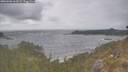 ./images/calvert/foggy-cove/20260506/foggy-cove20260506_162001M.jpg