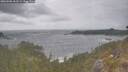 ./images/calvert/foggy-cove/20260506/foggy-cove20260506_162501M.jpg