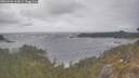 ./images/calvert/foggy-cove/20260506/foggy-cove20260506_163001M.jpg