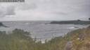 ./images/calvert/foggy-cove/20260506/foggy-cove20260506_163501M.jpg