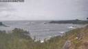 ./images/calvert/foggy-cove/20260506/foggy-cove20260506_164502M.jpg