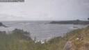 ./images/calvert/foggy-cove/20260506/foggy-cove20260506_165001M.jpg