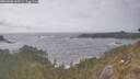 ./images/calvert/foggy-cove/20260506/foggy-cove20260506_165501M.jpg