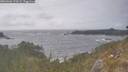 ./images/calvert/foggy-cove/20260506/foggy-cove20260506_170501M.jpg