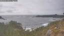 ./images/calvert/foggy-cove/20260506/foggy-cove20260506_171001M.jpg