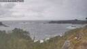 ./images/calvert/foggy-cove/20260506/foggy-cove20260506_171501M.jpg