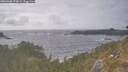 ./images/calvert/foggy-cove/20260506/foggy-cove20260506_172001M.jpg