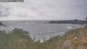 ./images/calvert/foggy-cove/20260506/foggy-cove20260506_172501M.jpg