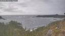 ./images/calvert/foggy-cove/20260506/foggy-cove20260506_173001M.jpg